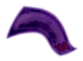 dollar